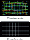 Figure 13 - Geometric distortions