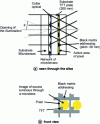 Figure 38 - Microlens array on a P-Si valve