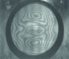 Figure 23 - Double exposure and double reference interferogram of an impacted composite 