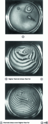 Figure 28 - Interferogram obtained in real time. Thermal stress (ISL doc.)