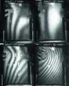 Figure 29 - Real-time appearance of calibrated bonding defects on a Dassault composite plate subjected to negative pressure (doc. HOLO3)