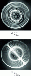 Figure 31 - Vibration modes of the embedded plate, visualized by time-integration holography. Nodal lines are visible (doc. ISL)