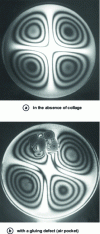 Figure 32 - Metal-elastomer bonding. Vibratory stress. Time-integrated holography (doc. ISL)