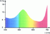 Figure 10 - Diffuse reflection spectrum of a persimmon tree