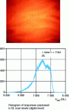 Figure 28 - Fixed spatial noise