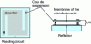 Figure 5 - Diagram of the optical structure of a microbolometer