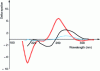 Figure 23 - Circular dichroism spectra of DNA (black) and RNA (red) double helices. Differences reflect different helix geometries, while base composition remains the same. The spectrum of the corresponding nucleotide mixture is shown in dotted blue.
