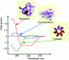 Figure 27 - Circular dichroism spectra of three proteins with very different structural contents
