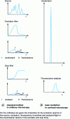Figure 15 - Comparison of fluorescence observation methods using conventional excitation in ordinary microscopy and laser excitation in confocal microscopy