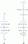 Figure 2 - Scanning optical microscopes