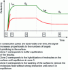 Figure 2 - Kinetic response on two different pads