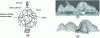 Figure 16 - a) Miyasaki's "cocoon" acquisition device [41], b) object and c) estimated 3D shape