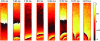 Figure 24 - Visualization of the acoustic wavefront propagating on a black hole beam; result obtained with a resolution of 512 x 128 pixels at a frequency of 60 kHz (source: LAUM-université du Maine).