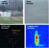 Figure 19 - Antenna detection through fog by radar imaging and long-range laser rangefinder imaging