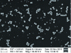 Figure 15 - SEM image of ERM®-FD101b reference suspension deposited by Spin Coating on a PLL layer