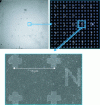 Figure 16 - Patterns lithographed on a silicon substrate for repositioning between AFM and SEM (figure from [51]).