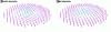 Figure 6 - Diagram of two types of skyrmion