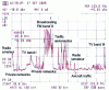 Figure 13 - Frequency-dependent recording of radio power (at point 48°47′07′′ North, 3°31′05′′ West). Frequency band: 20-220 MHz, biconical antenna, horizontally polarized, East-West direction