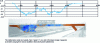 Figure 7 - Bending of a bridge under the weight of a bus, obtained by diachronic image correlation