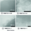 Figure 10 - Different TEM morphologies of silica-based mineralized objects obtained using P123 as mesostructuring agent and TMB as swelling phase 