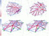 Figure 11 - Two models of an epithelial cell (OpenGL visualization)