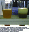 Figure 5 - Coagulation/flocculation tests (jar tests) in industrial effluent treatment (laboratory tests) using sulfonated chitosan [6] [13].