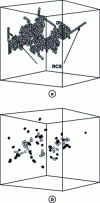 Figure 2 - Typical appearance of a cascade initiated in cubic iron centered by a 20 keV PKA at 600 K at the end of the recombination phase. (a) Replaced atoms, i.e. those that have changed site (white spheres). (b) Residual damage: self-interstitials (dark spheres) and vacancies (white spheres). The box is 23 nm square. Long sequences of focused displacements with associated replacements (Replacement Collision Sequences RCS) ending in a self-interstitial are observed.