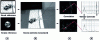 Figure 13 - Comparative result of the complete optical processor with the scene (b), the reference (a) without the snake (usual case) and with the snake, (c) the images of the respective correlations, (d) the cross-section of the correlation peak without the snake (calendar peak greater than vehicle peak) and with the snake (vehicle peak only).