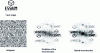 Figure 18 - Fourier hologram coded according to Lohmann. A random phase, acting as a diffuser, has been added to the input image.