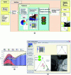 Figure 11 - (a) General structure of the EURITRACK decision support software, (b) example of segmentation of elementary proportions as a function of depth in the container, (c) visual decision support screen [12].