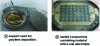 Figure 2 - Photograph of a wafer containing microsupercapacitors encapsulated by a parylene deposit