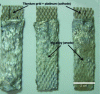 Figure 18 - Preparation of Mg alloy scrap to generate hydrogen by hydrolysis [76].