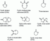 Figure 6 - Structures of the different monomer families that can be polymerized by ring-opening radical polymerization (rROP)