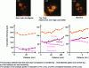 Figure 11 - Estimated stratigraphies along the faces of Saint John the Baptist (left), the Child in Saint Anne, the Virgin and Child (middle), and Bacchus (right)