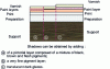 Figure 5 - Stratigraphy of paint layers: the case of skin tone shadows