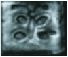 Figure 2 - Image of a graphite butterfly under 5 mm of plaster [12].