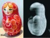 Figure 20 - 3D imaging of a Russian doll with the THz scanner