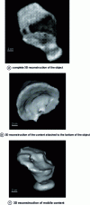 Figure 24 - 3D imaging of pottery in inverted position (Ancient Egypt, inventory number 8608)