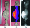 Figure 25 - (a) Photograph of a Butti fetish statuette (Teke, Congo), (b) THz transmission image, (c) X-ray radiograph