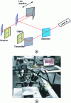 Figure 4 - (a) Schematic diagram of the "THz TDS" imaging device based on THz pulse generation and detection (transmission configuration), (b) photograph of the device in reflection configuration (device marketed by Picometrix).