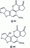 Figure 10 - Chemical structures of aflatoxin B1 and M1