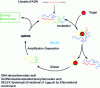 Figure 14 - General principle of SELEX aptamer selection