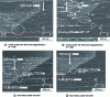 Figure 14 - SEM photos of the hole condition after punching the M21-T700GC laminate with a drill of diameter d = 4.8 mm and displacement speed 1 mm/min.