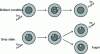 Figure 15 - Schematic representation of possible recombination processes in thick-shell CdSe/CdS nanocrystals. Copyright 2009 by The American Physical Society (after [16])