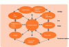 Figure 2 - UNCTAD classification of creative sectors (source: UNCTAD)