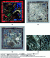 Figure 1 - Photographs, taken using a detailed methodology, of bay 6 of the choir Legend of the Child of Bourges and Miracle of Theophilus, Saint-Julien Cathedral, Le Mans (Sarthe).