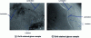 Figure 9 - Dark-field TEM images of weathering layers on Ou2b and Ev1b stained glass samples (detail and location of laminations and laminae)