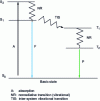 Figure 10 - Jablonsky diagram for a fluorescent (F) and phosphorescent (P) molecule