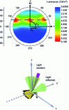 Figure 14 - Spatial distribution map of the waves diffracted by the structure (the R1 and R – 1 orders of a grating are recognized).