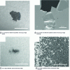 Figure 6 - Damage caused by ultrasonic cavitation in two thin gold films (200 nm thick) of identical duration and power, deposited on a smooth and a rough non-adhesive substrate.
